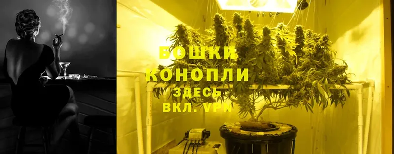 МЕГА онион  наркошоп  мориарти состав  Бошки Шишки OG Kush  Невельск 